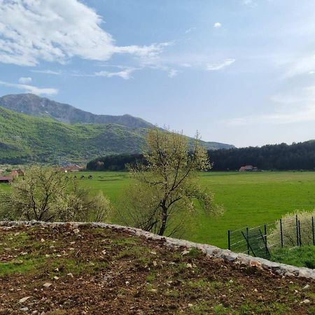 Porto Njegusi A2 Apartment Цетине Екстериор снимка